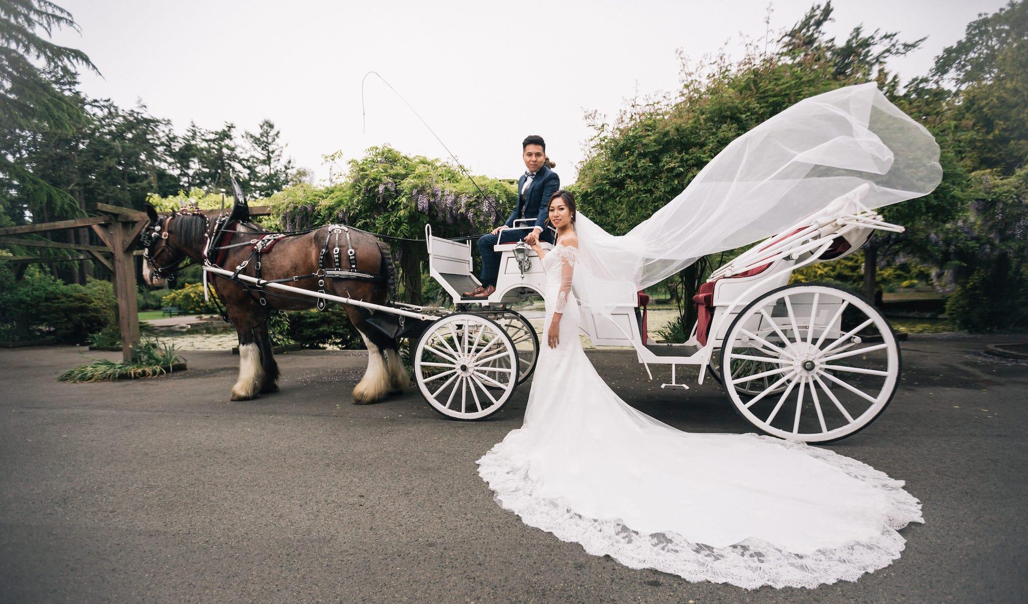 carousel-hero-element image-1