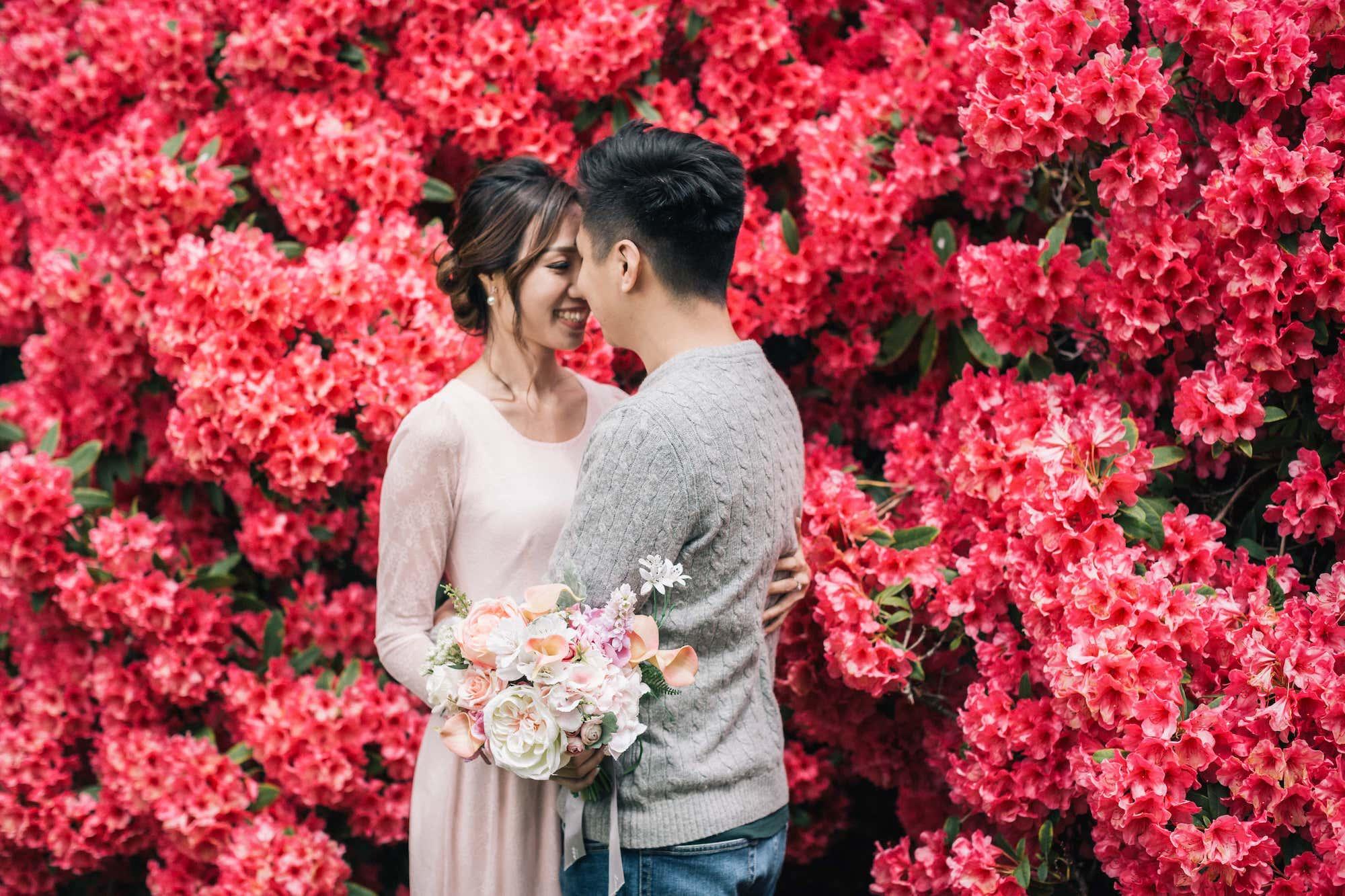 carousel-hero-element image-8